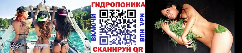 кракен ТОР  как найти   Сосенский  Бошки марихуана марихуана 